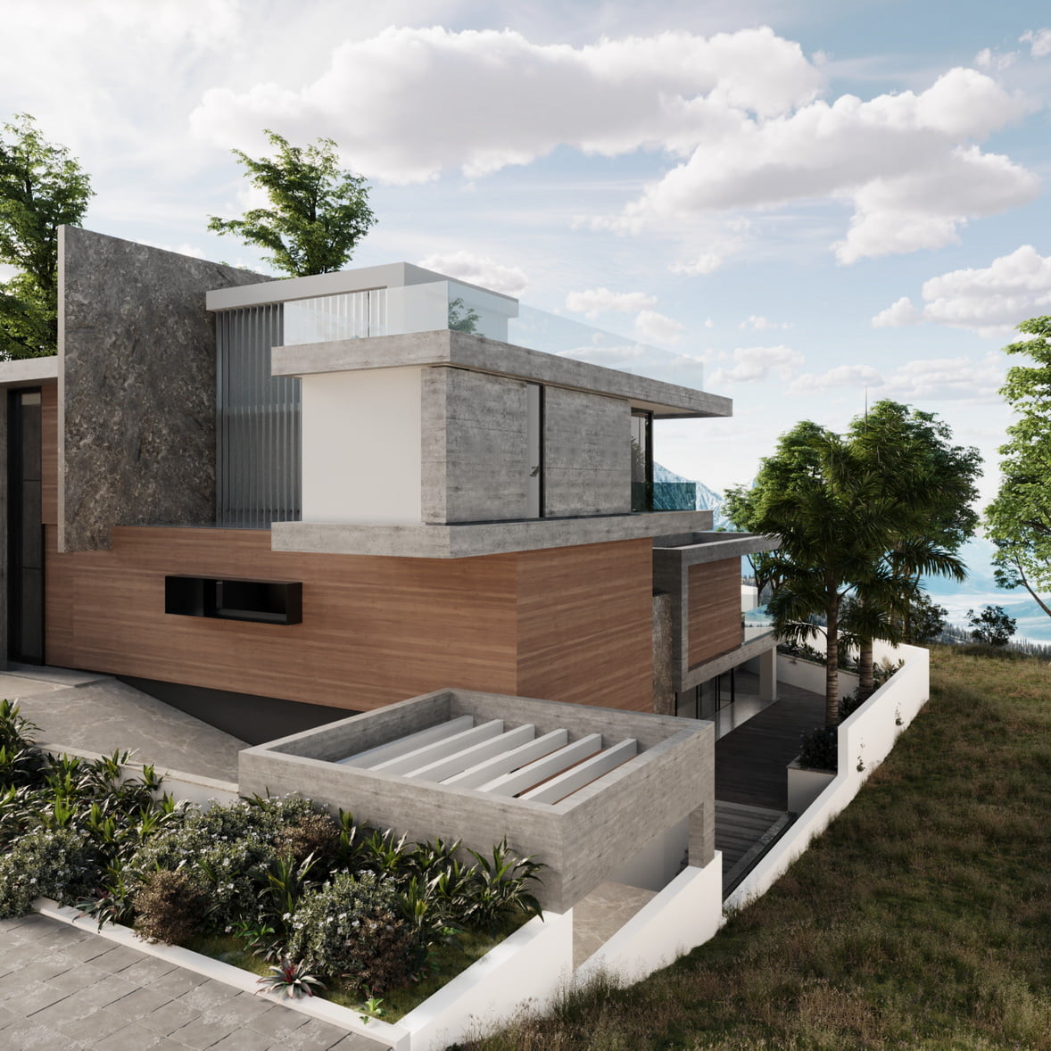 Wooden facade of a Zen Serenity Project, concrete slabs and a big olive tree in the entrance